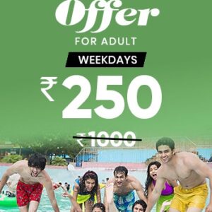 Weekdays Offer